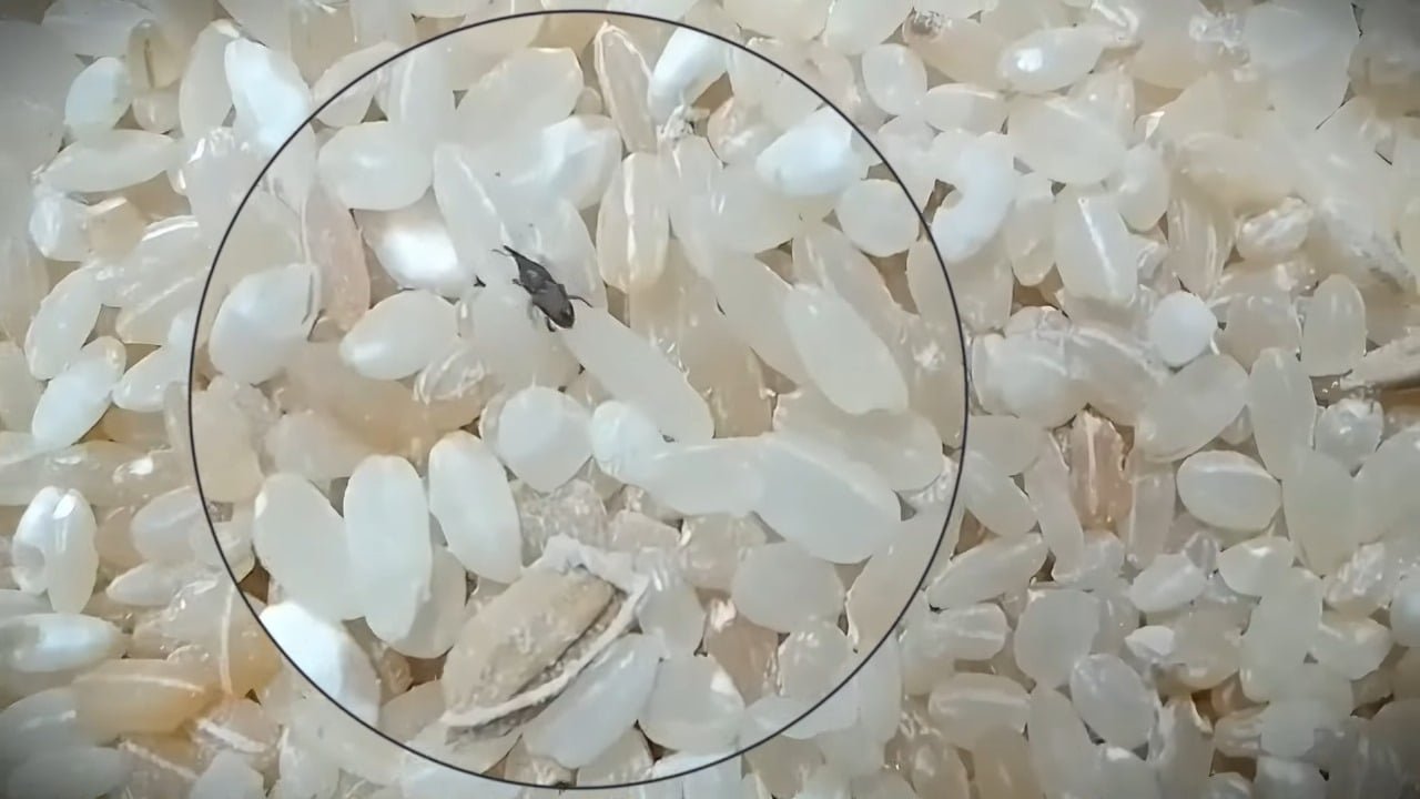 Donaciones enviadas desde Venezuela llegan en mal estado a Cuba, mientras crecen las denuncias por corrupción y manejo opaco de los recursos de la ayuda.