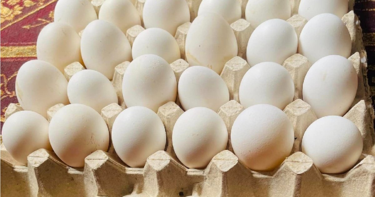 El aumento del precio del huevo golpea directamente a familias que deben destinar más de la mitad de su salario para adquirirlo.